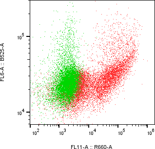 Rabbit-anti KERA monoclonal antibody