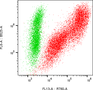 Rabbit-anti TREML1 monoclonal antibody