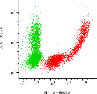 Rabbit-anti CRLF2 monoclonal antibody