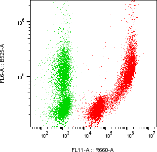 Rabbit-anti PIK3IP1 monoclonal antibody