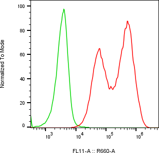 Rabbit-anti PLAU monoclonal antibody