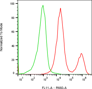 Rabbit-anti CTSO monoclonal antibody