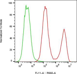 Rabbit-anti IL18BP monoclonal antibody