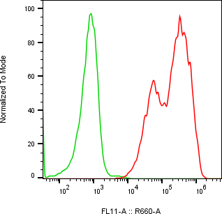 Rabbit-anti CGB2 monoclonal antibody