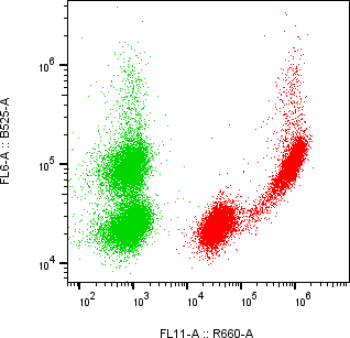 Rabbit-anti TFF2 monoclonal antibody