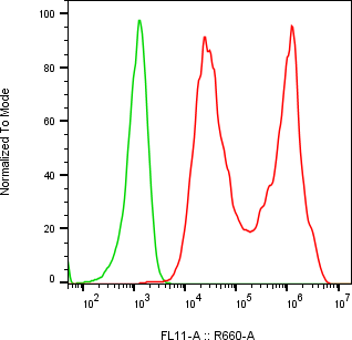 Rabbit-anti TREM1 monoclonal antibody