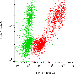 Rabbit-anti AMBP monoclonal antibody