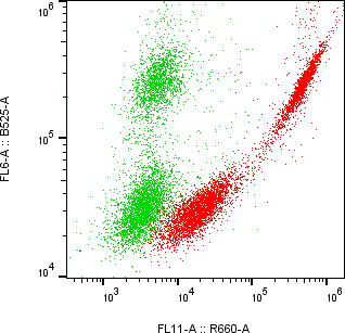 Rabbit-anti LTBR monoclonal antibody