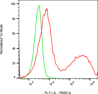 Rabbit-anti CCER2 monoclonal antibody