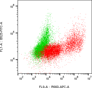 Rabbit-anti IL22 monoclonal antibody