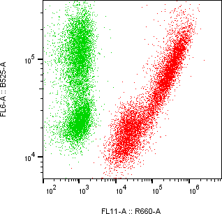 Rabbit-anti IL6ST monoclonal antibody