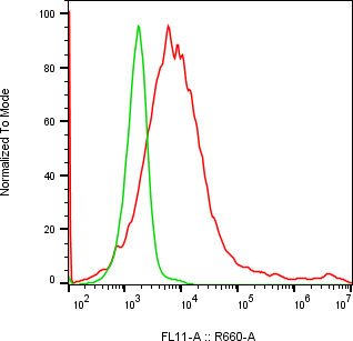 Rabbit-anti EGFR monoclonal antibody
