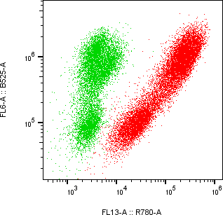 Rabbit-anti CCL18 monoclonal antibody