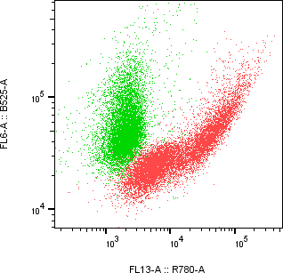 Rabbit-anti NTF4 monoclonal antibody