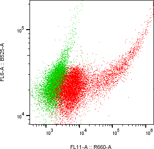 Rabbit-anti CDSN monoclonal antibody