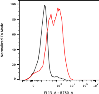 Rabbit-anti TNFRSF18 monoclonal antibody