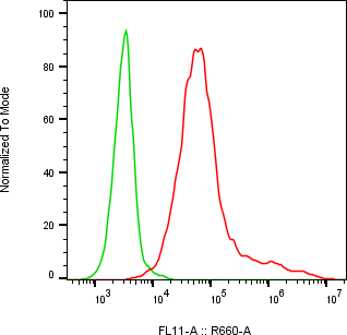 Rabbit-anti RAET1E monoclonal antibody