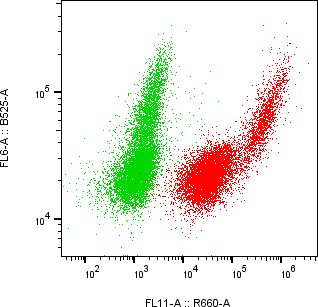Rabbit-anti CEACAM6 monoclonal antibody