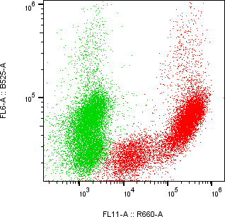 Rabbit-anti CTSO monoclonal antibody