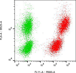 Rabbit-anti FXYD5 monoclonal antibody