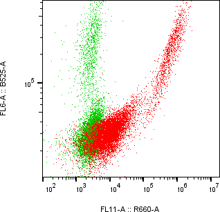 Rabbit-anti CLEC3B monoclonal antibody