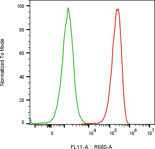 Rabbit-anti ALCAM monoclonal antibody