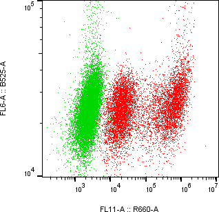 Rabbit-anti ITIH3 monoclonal antibody