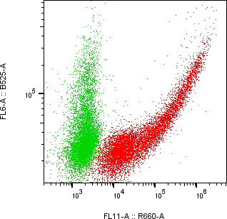 Rabbit-anti APOE monoclonal antibody