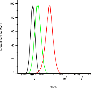 Rabbit-anti CD68 monoclonal antibody