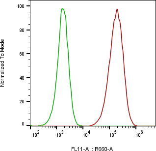 Rabbit-anti PD-L1 monoclonal antibody