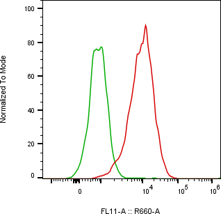 Rabbit-anti F3 monoclonal antibody