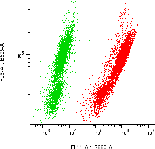 Rabbit-anti sclerostin monoclonal antibody
