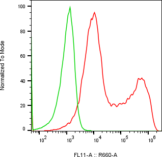 Rabbit-anti CEACAM7 monoclonal antibody