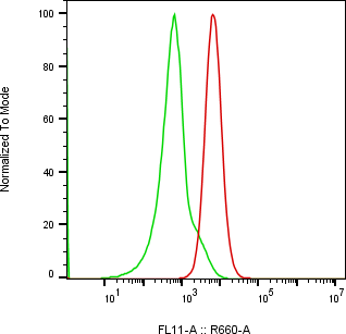 Rabbit-anti IFNGR1 monoclonal antibody