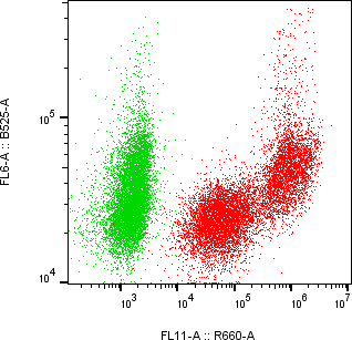 Rabbit-anti MMP3 monoclonal antibody