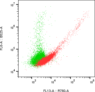Rabbit-anti KIRREL1 monoclonal antibody