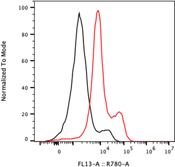 Rabbit-anti FAS monoclonal antibody