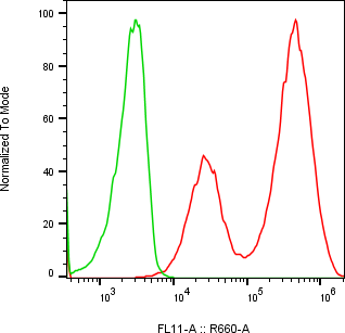 Rabbit-anti AHSG monoclonal antibody