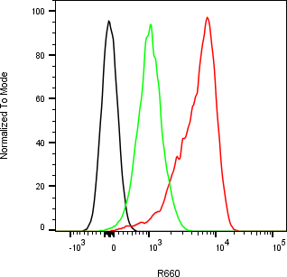 Rabbit-anti AGT monoclonal antibody