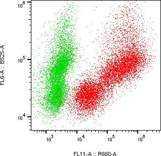 Rabbit-anti ORM2 monoclonal antibody