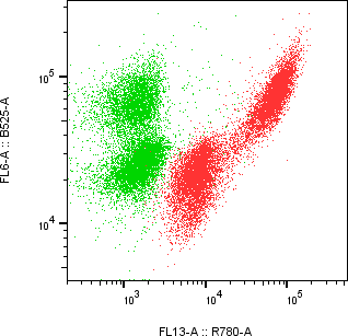 Rabbit-anti PIP monoclonal antibody