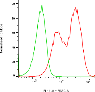 Rabbit-anti CFD monoclonal antibody