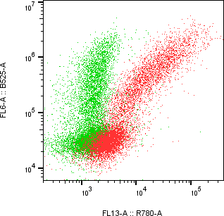 Rabbit-anti VSIG4 monoclonal antibody