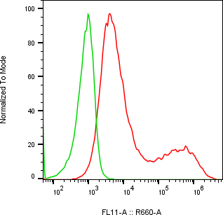 Rabbit-anti PDCD1LG2 monoclonal antibody