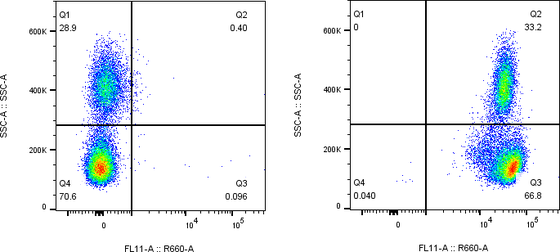 Rabbit-anti CD46 monoclonal antibody