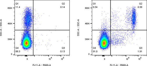 Rabbit-anti LILRA5 monoclonal antibody