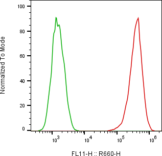 Rabbit-anti EpCAM monoclonal antibody