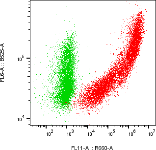Rabbit-anti HEPACAM monoclonal antibody