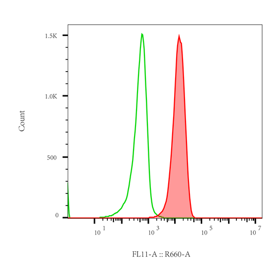 Rabbit-anti ROR2 monoclonal antibody