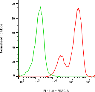 Rabbit-anti AMBP monoclonal antibody